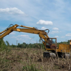  Land Clearing