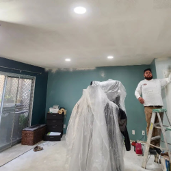 Mold Remediation