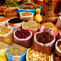 Freshly Harvested Herbs and Spices