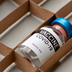 Medical Supplies Procurement