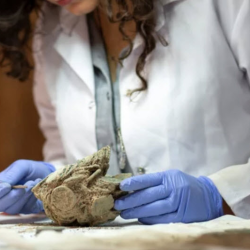 Artwork Restoration and Conservation