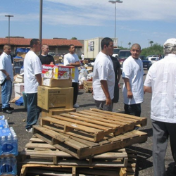Employment & Vocational Training