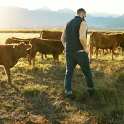 Dairy Sustainability Initiatives