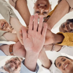 Community Building and Support