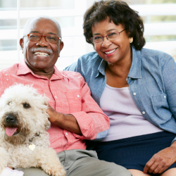 Senior Pet Care