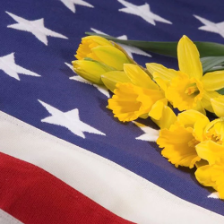 Veterans Burial Flags