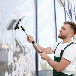 Window Cleaning Services