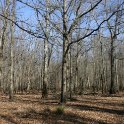 Land Management at Headwaters