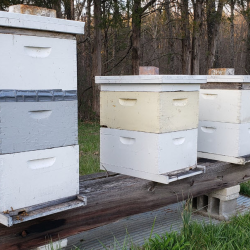 Farm-Fresh Preserves and Jams