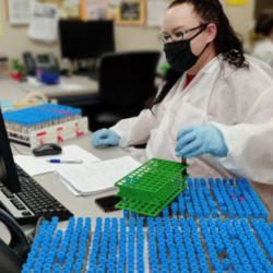 Specialist in Blood Banking