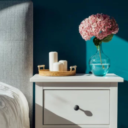 Home Decor and Lifestyle