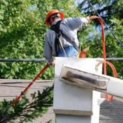 Vegetation Management