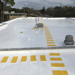 Roof Coatings