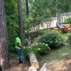 Brush Cutting and Vegetation Management