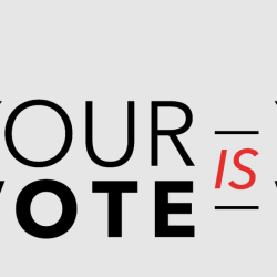 Your Vote is Your Voice