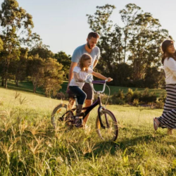 Parks and Recreation