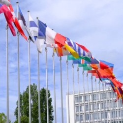 Cultural and Community Events