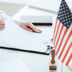 Immigration Case Review