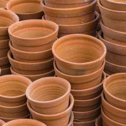 Home and Garden Essentials