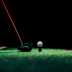 World Renowned Courses