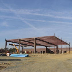 Sustainability and Green Initiatives