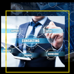 Consulting Services