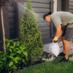 Hardscaping and Outdoor Living