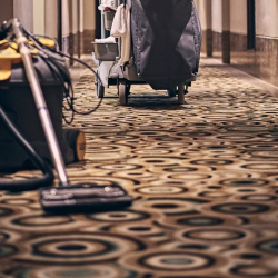 Carpet Cleaning