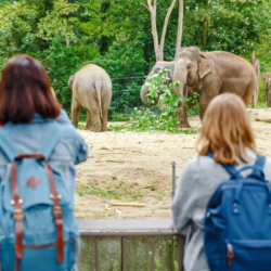 Farm Tours and Educational Visits