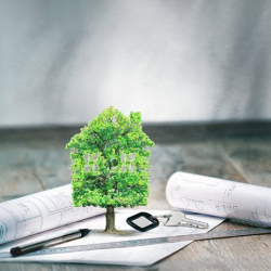 Trust and Estate Tax