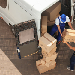 Estate Cleanout and Removal