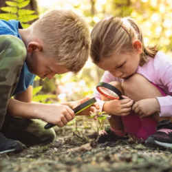Outdoor Play and Exploration