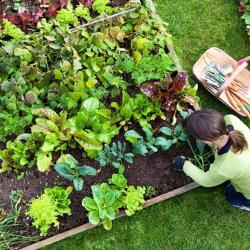 Agricultural Education Workshops