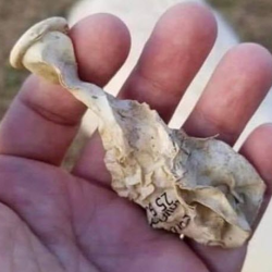 Advocacy for Rural Issues