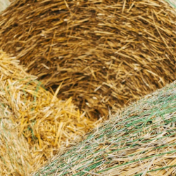 Custom Hay Blending