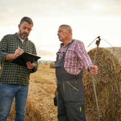 Hay Testing & Analysis