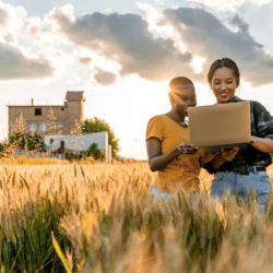 Consultation Services