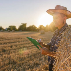 Hay Quality Assurance