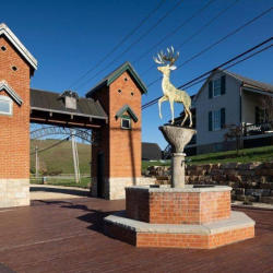 Polly’s Still House