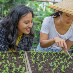 Educational Workshops