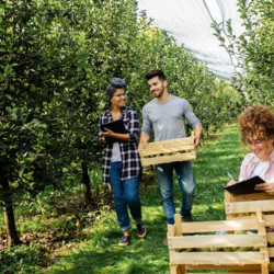 Environmental Stewardship