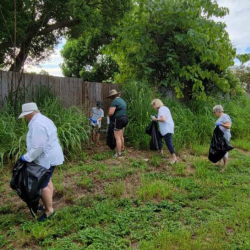 Environmental Conservation Projects