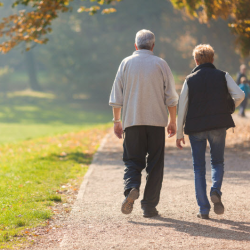 Whole Life Insurance