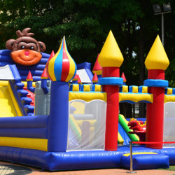 Bounce House Rentals