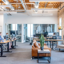 Commercial Insurance