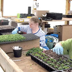 Services for Consumers