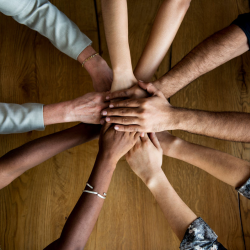 Community Integration Initiatives