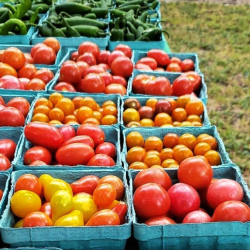 Fresh Organic Produce