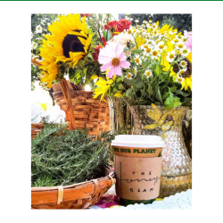 Fresh Cut Flowers and Plants