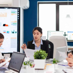 Fractional Sales Manager